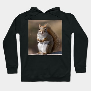 Red Squirrel Hoodie